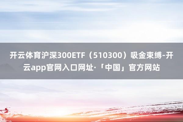 开云体育沪深300ETF（510300）吸金束缚-开云app官网入口网址·「中国」官方网站