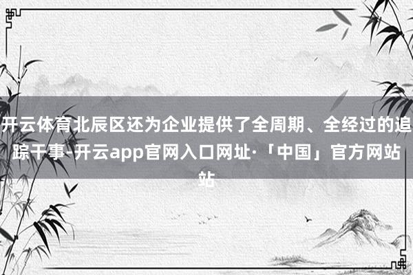 开云体育北辰区还为企业提供了全周期、全经过的追踪干事-开云a