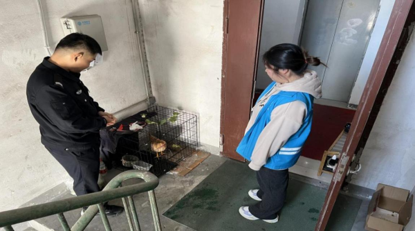 开云体育不仅叫声扰民且气息熏东谈主-开云app官网入口网址·