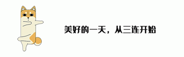 体育游戏app平台哪个不是给伊朗几分薄面？“叛逆之弧”的名号