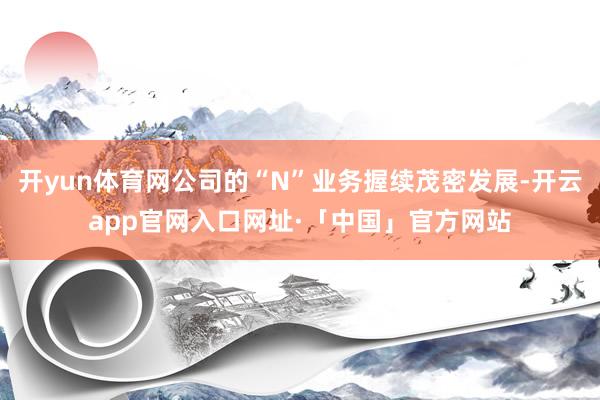 开yun体育网公司的“N”业务握续茂密发展-开云app官网入口网址·「中国」官方网站
