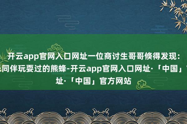 开云app官网入口网址一位商讨生哥哥倏得发现：刚和欢乐同伴玩耍过的熊蜂-开云app官网入口网址·「中国」官方网站