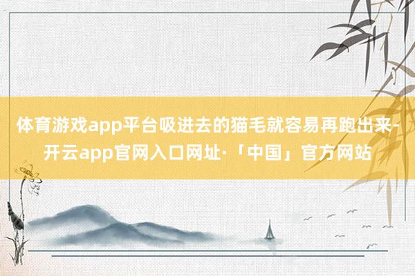 体育游戏app平台吸进去的猫毛就容易再跑出来-开云app官网入口网址·「中国」官方网站