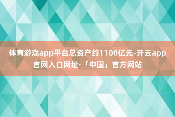 体育游戏app平台总资产约1100亿元-开云app官网入口网址·「中国」官方网站